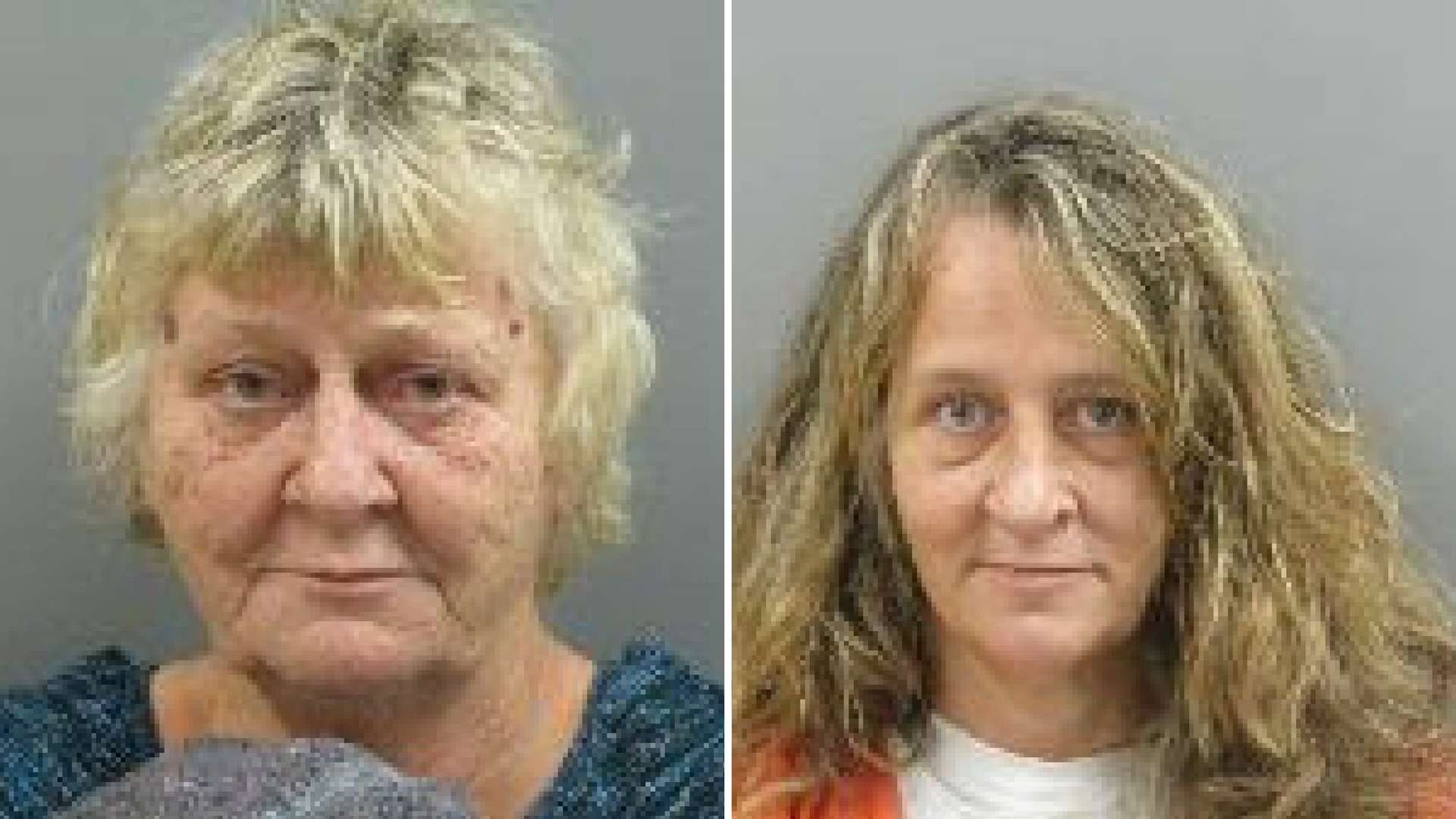 Mother Daughter Duo Arrestedcharged With Selling Oxycodone In Maine